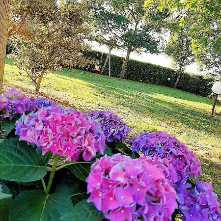 פאנצה Locanda Merlaschio מראה חיצוני תמונה
