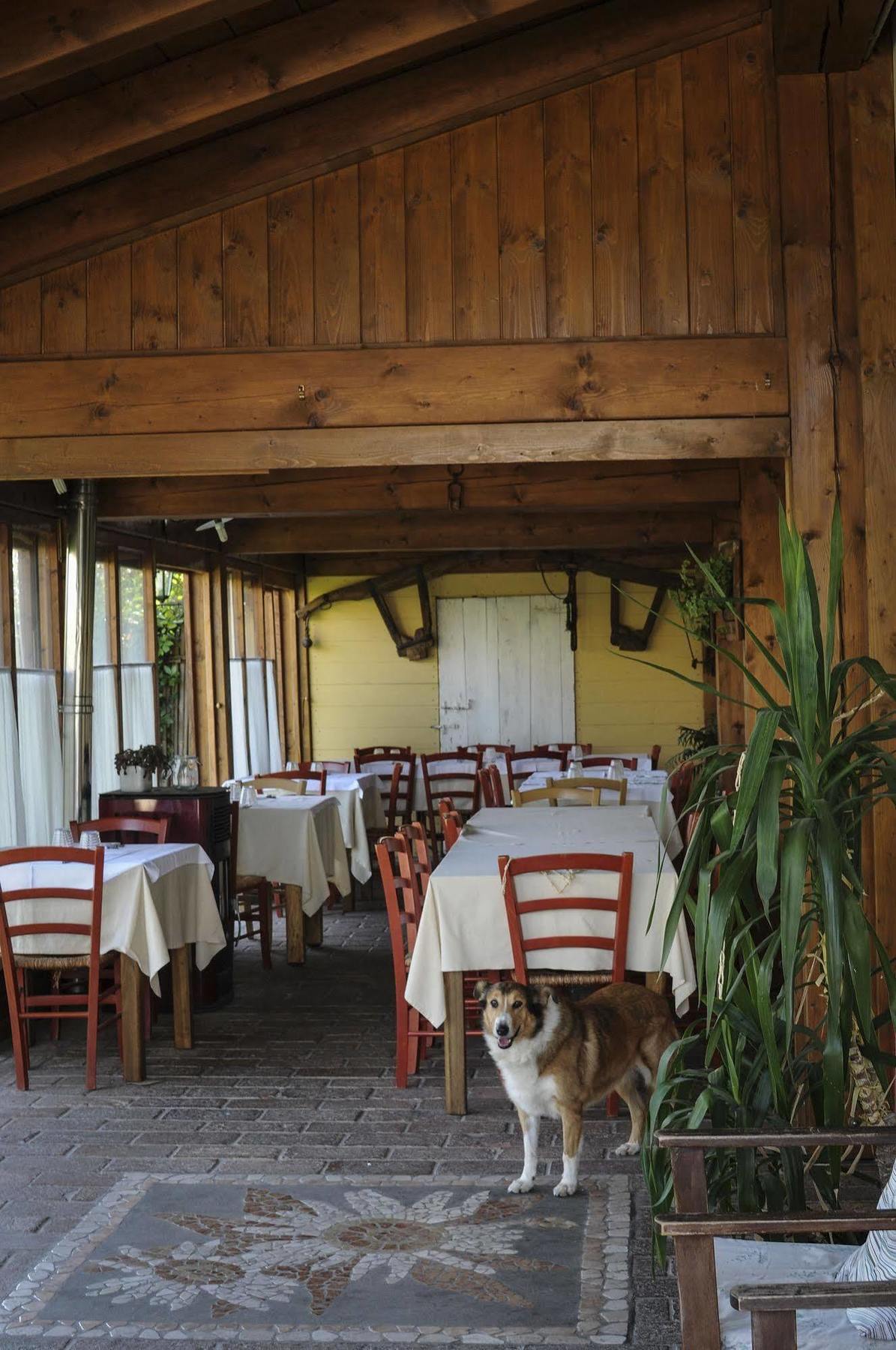 פאנצה Locanda Merlaschio מראה חיצוני תמונה